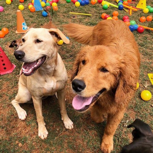 photo_2022-02-04_15-31-35