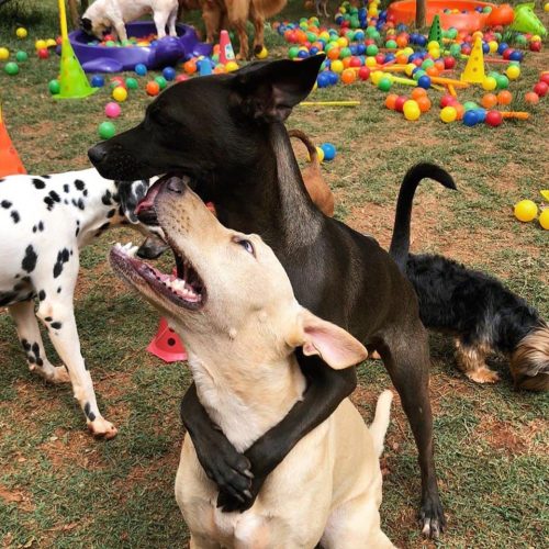 photo_2022-02-04_15-31-55