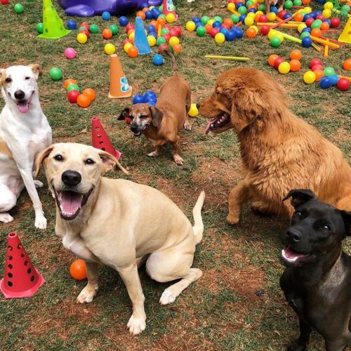 photo_2022-02-04_15-32-51