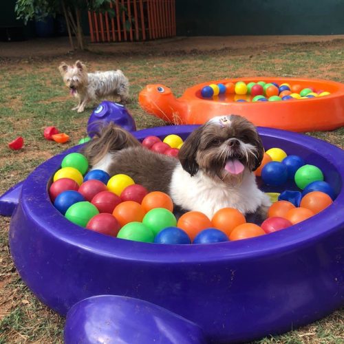 photo_2022-02-04_15-33-54