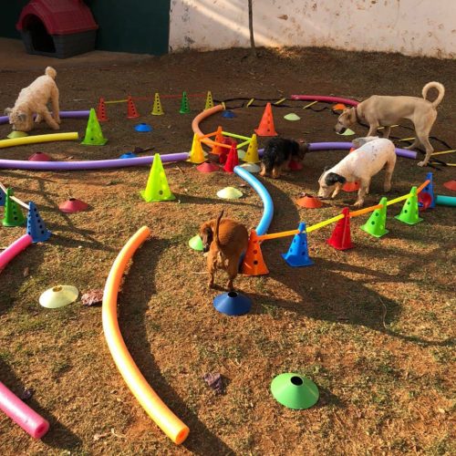 photo_2022-02-04_15-34-49